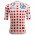 Heren Fietskleding Santini Points Tour de France 2025 officieel shirt