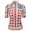 Dames Pois Dames Tour de France 2025 Fan Line shirt