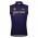 Heren Fietskleding Santini Paris Nice 2025 Vest