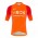 ineos grenadier Tour De France 2022 Team Wielerkleding Fietsshirt Korte Mouw Orange 202222