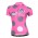 2015 Nalini Siele Rose-Gris Dames Fietsshirt Korte Mouwen 3524