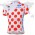 Tour de France le coq sportif Bolletjestrui Fietsshirt Korte mouw 1372