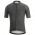 GORE WEAR GORE C3 Line Brand Fietsshirt Korte Mouw Gris Zwart 2577K 2577K