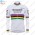 Winter Thermal Fleece Deceuninck quick step 2021 UCI World Champion Fietsshirt Lange Mouw 2021042