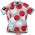 2016 Twin Six Polka Dames Fietsshirt Korte Mouw 201717194