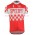 2016 Twin Six Speedy Champ Fietsshirt Korte Mouw 201717198