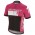 2017 Specialized RBX Comp Logo Fietsshirt Korte Mouw Goedkoop-Pink Wit 20176935
