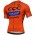 2017 CCC SPRANDI Race Wielerkleding Wielershirt Korte Mouw 20176904