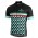 BIANCHI MILANO Codigoro Fietsshirt korte mouw 190224049