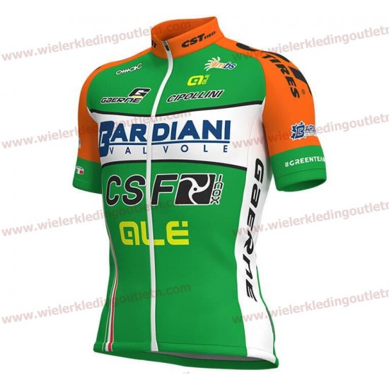 BARDIANI CSF 2018 Wielershirt Korte Mouwen D219