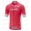 Giro d-Italia 2018 Rosa Wielershirt korte mouw 18A0185