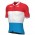GROUPAMA-FDJ Luxemburgs kampioen wielershirt korte mouwen 2022-ALE professionele wielerploeg